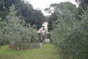 MARCIOLA